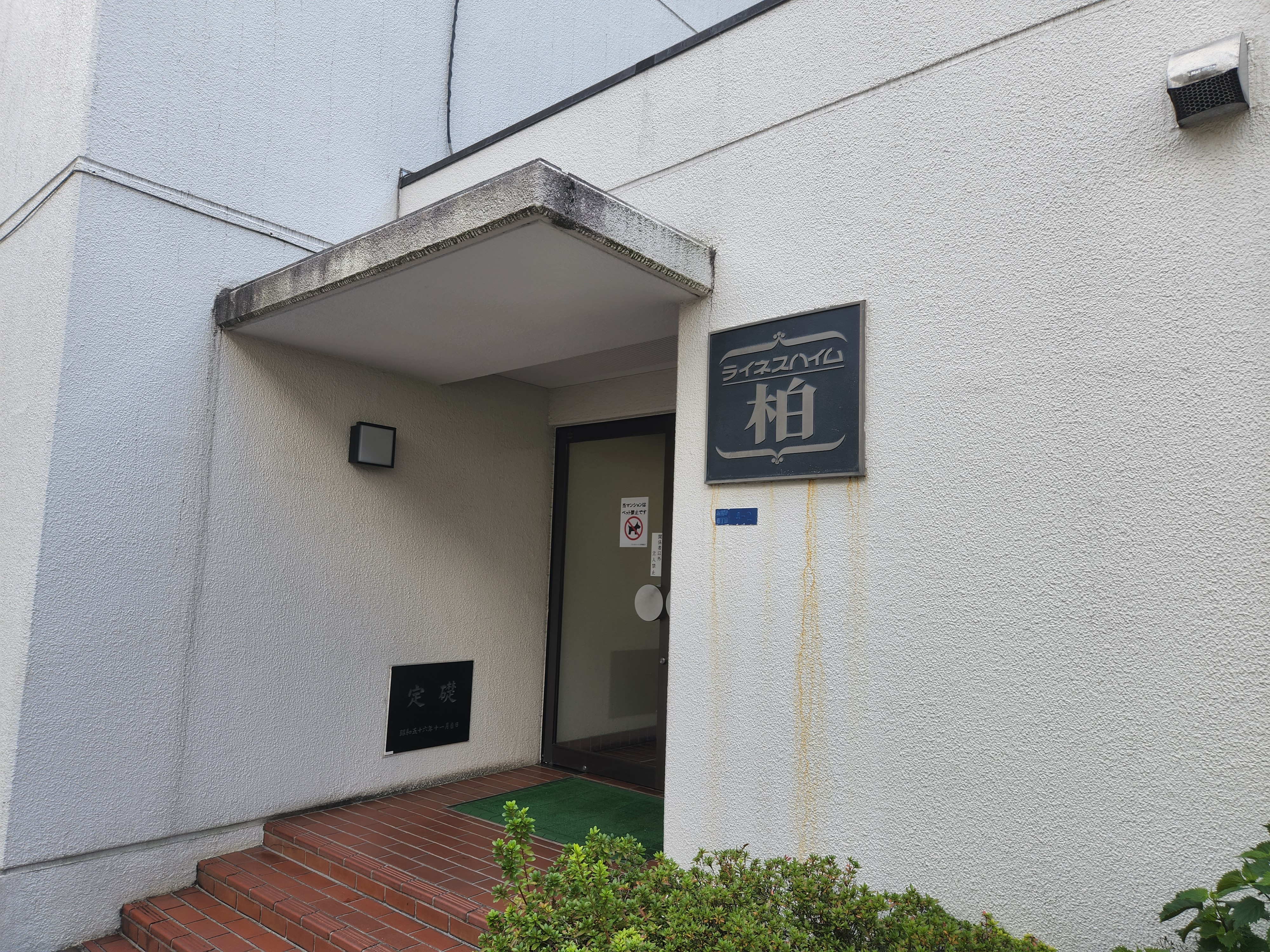 ライネスハイム柏